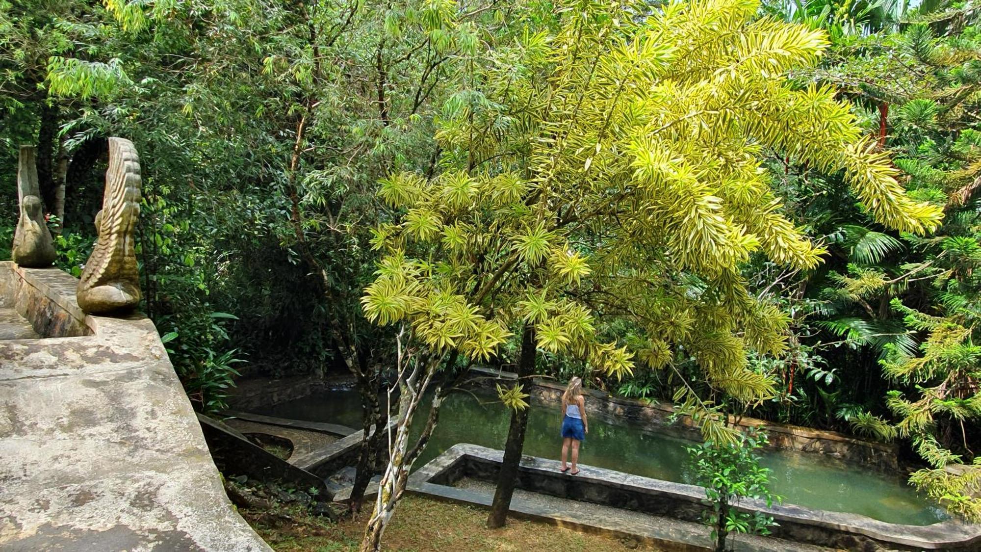 Singharaja Garden Agro Eco Lodge Pelawatta  Екстер'єр фото