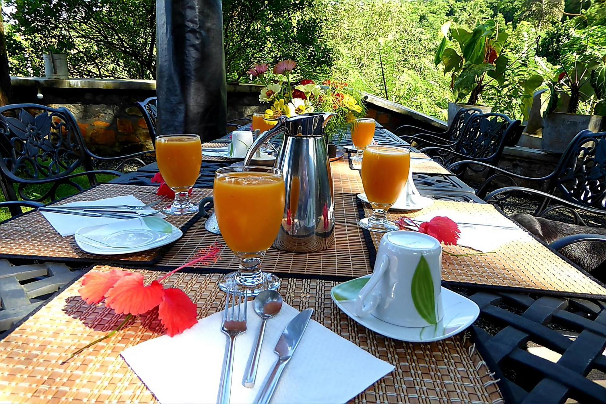 Singharaja Garden Agro Eco Lodge Pelawatta  Екстер'єр фото