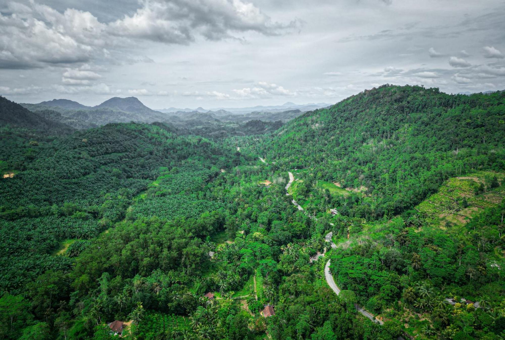 Singharaja Garden Agro Eco Lodge Pelawatta  Екстер'єр фото